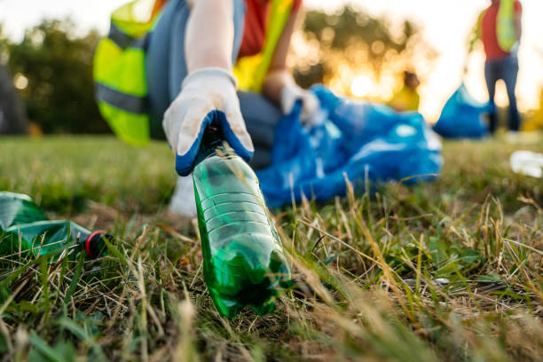 Yard Cleanup Services in Andale, KS
